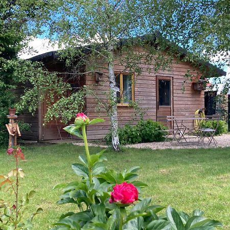 Chalet Proche Orleans Centre Saint-Jean-le-Blanc Esterno foto