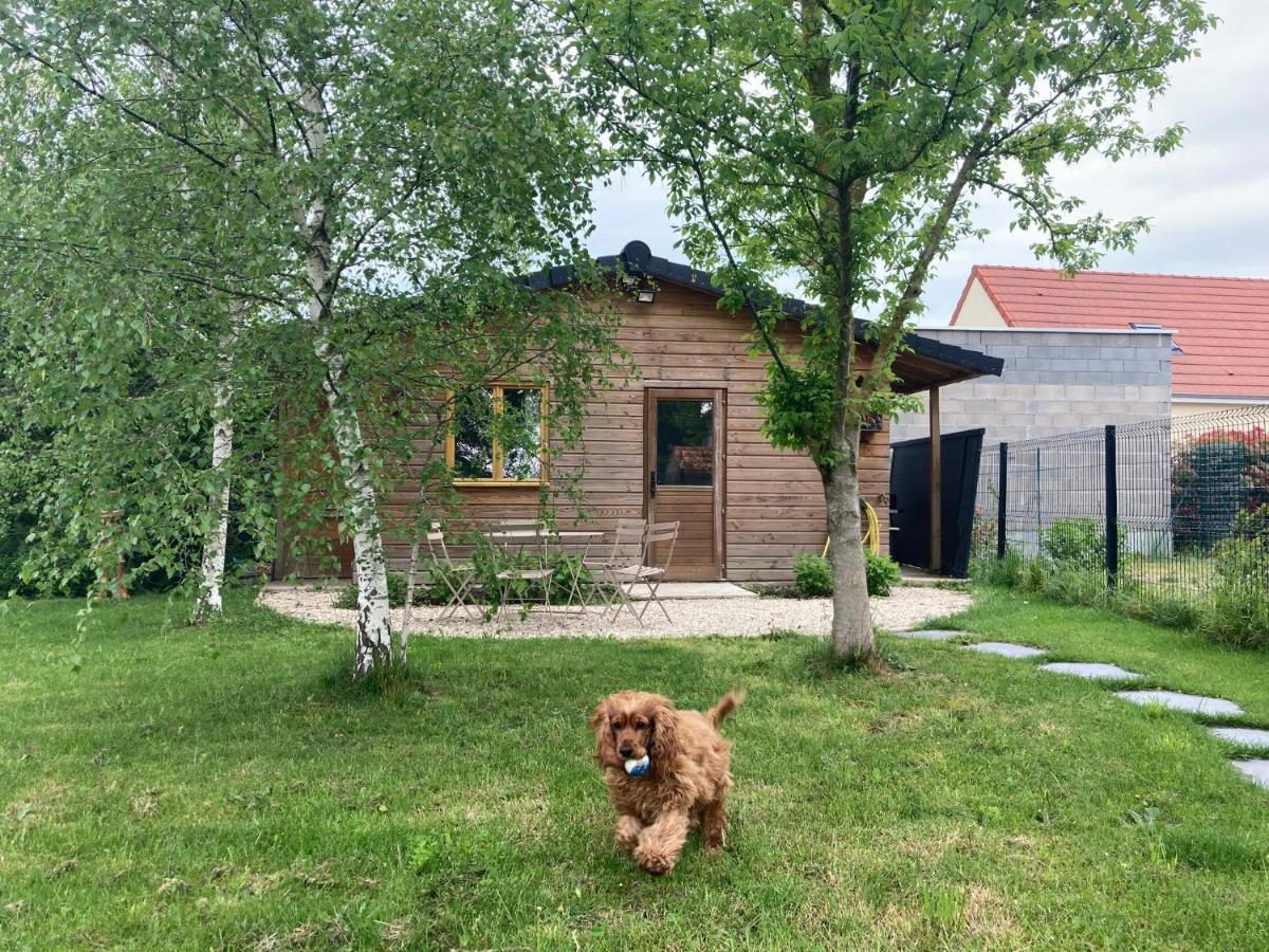 Chalet Proche Orleans Centre Saint-Jean-le-Blanc Esterno foto